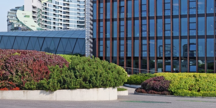 Solution Inn Softwarehouse Services and Support | Software House
